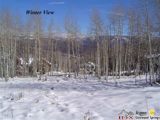 - 1005 Wood Road, Snowmass Village, CO 81615 - Photo 2