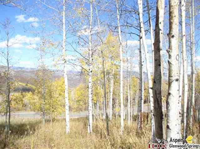 - 1005 Wood Road, Snowmass Village, CO 81615 - Photo 3