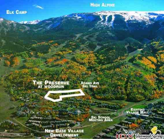 - 1005 Wood Road, Snowmass Village, CO 81615 - Photo 4
