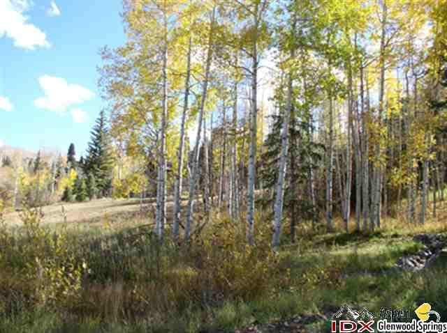 - 719 Edgewood, Snowmass Village, CO 81615 - Photo 7