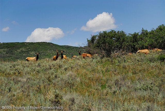 Tbd Usfs 509, Carbondale, CO 81623 - Photo 5
