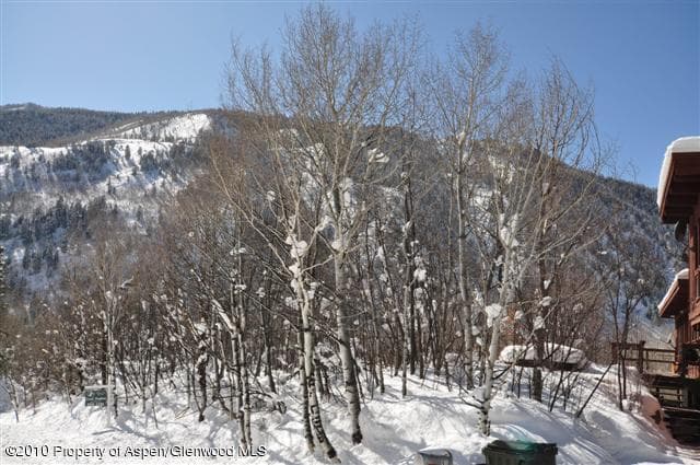 31 Mountain Laurel Drive, Aspen, CO 81611 - Photo 9