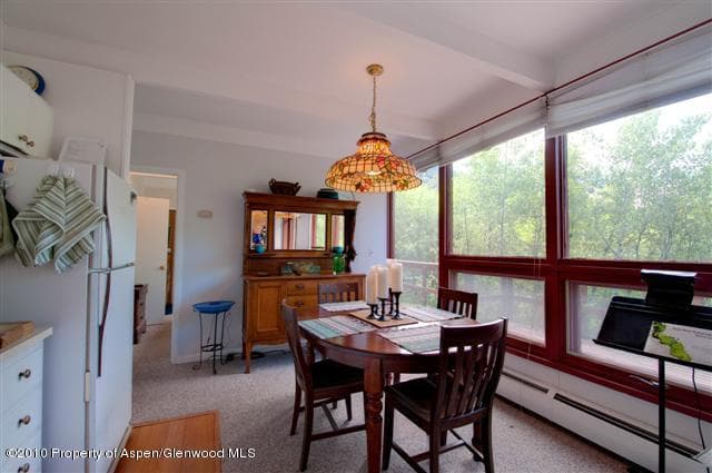 31 Mountain Laurel Drive, Aspen, CO 81611 - Photo 4