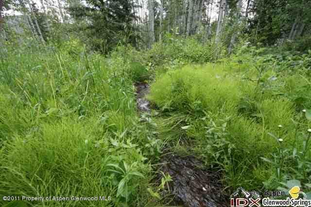 611 Edgewood Lane, Snowmass Village, CO 81615 - Photo 3