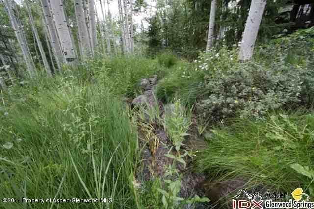 611 Edgewood Lane, Snowmass Village, CO 81615 - Photo 4