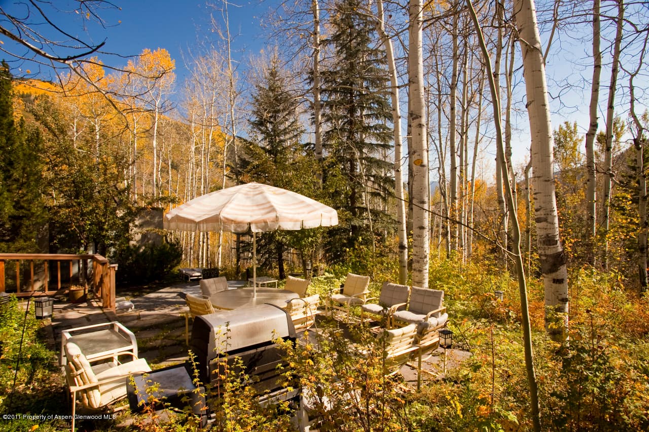 42726 Highway 82, Aspen, CO 81611 - Photo 4