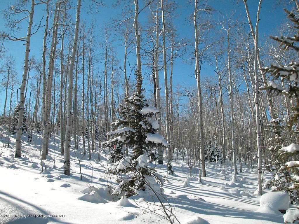 2034 Faraway Road, Snowmass Village, CO 81615 - Photo 5
