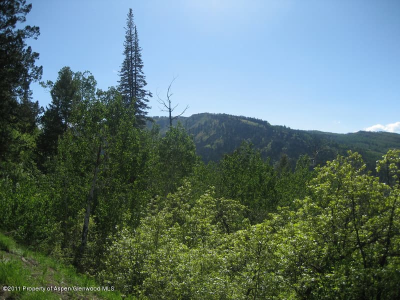 883 Moore Drive, Aspen, CO 81611 - Photo 4