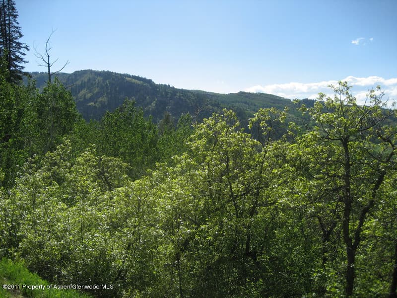 883 Moore Drive, Aspen, CO 81611 - Photo 5