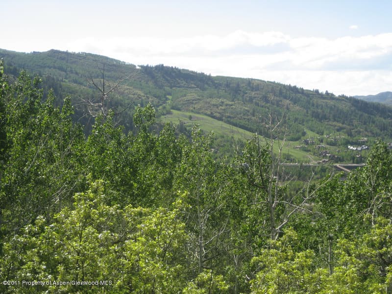 883 Moore Drive, Aspen, CO 81611 - Photo 6