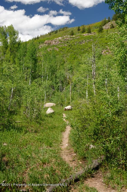 67 Ardmore Court, Aspen, CO 81611 - Photo 8