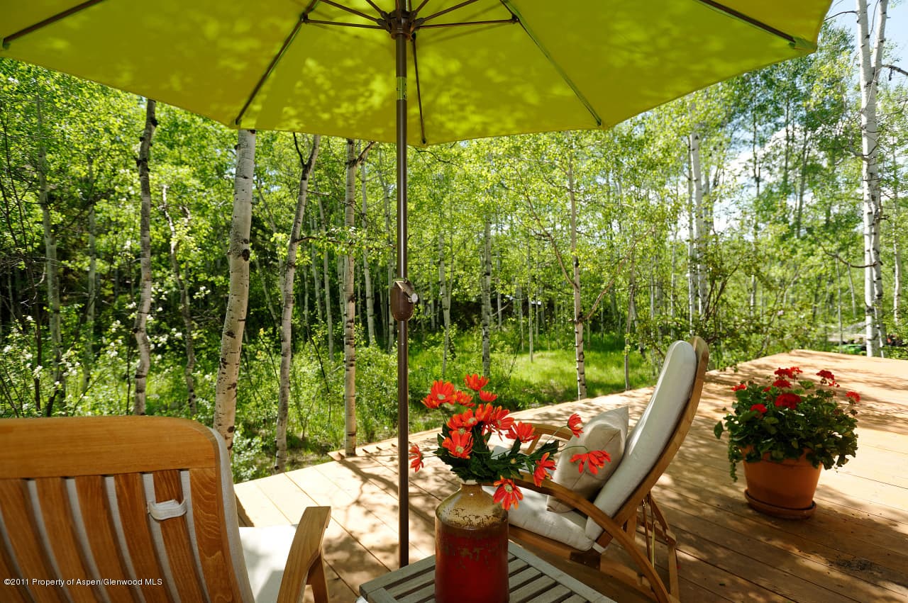 67 Ardmore Court, Aspen, CO 81611 - Photo 2