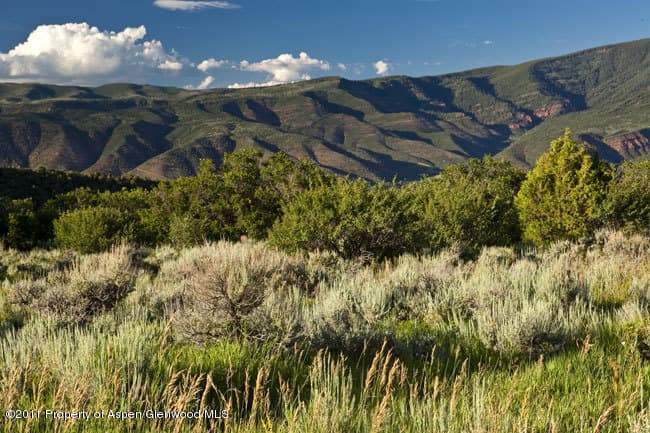 1953 Medicine Bow Road, Aspen, CO 81611 - Photo 4
