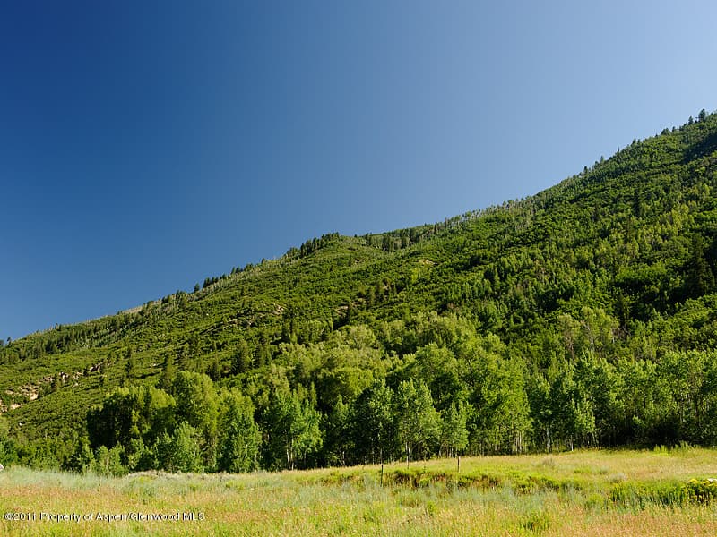 43399 Highway 82, Aspen, CO 81611 - Photo 4