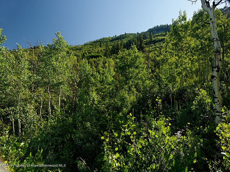 43399 Highway 82, Aspen, CO 81611 - Photo 8