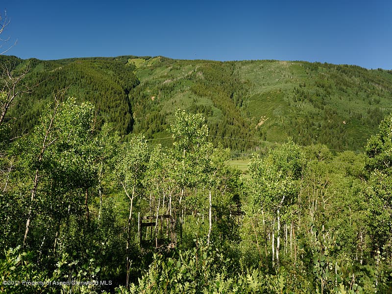 43399 Highway 82, Aspen, CO 81611 - Photo 9