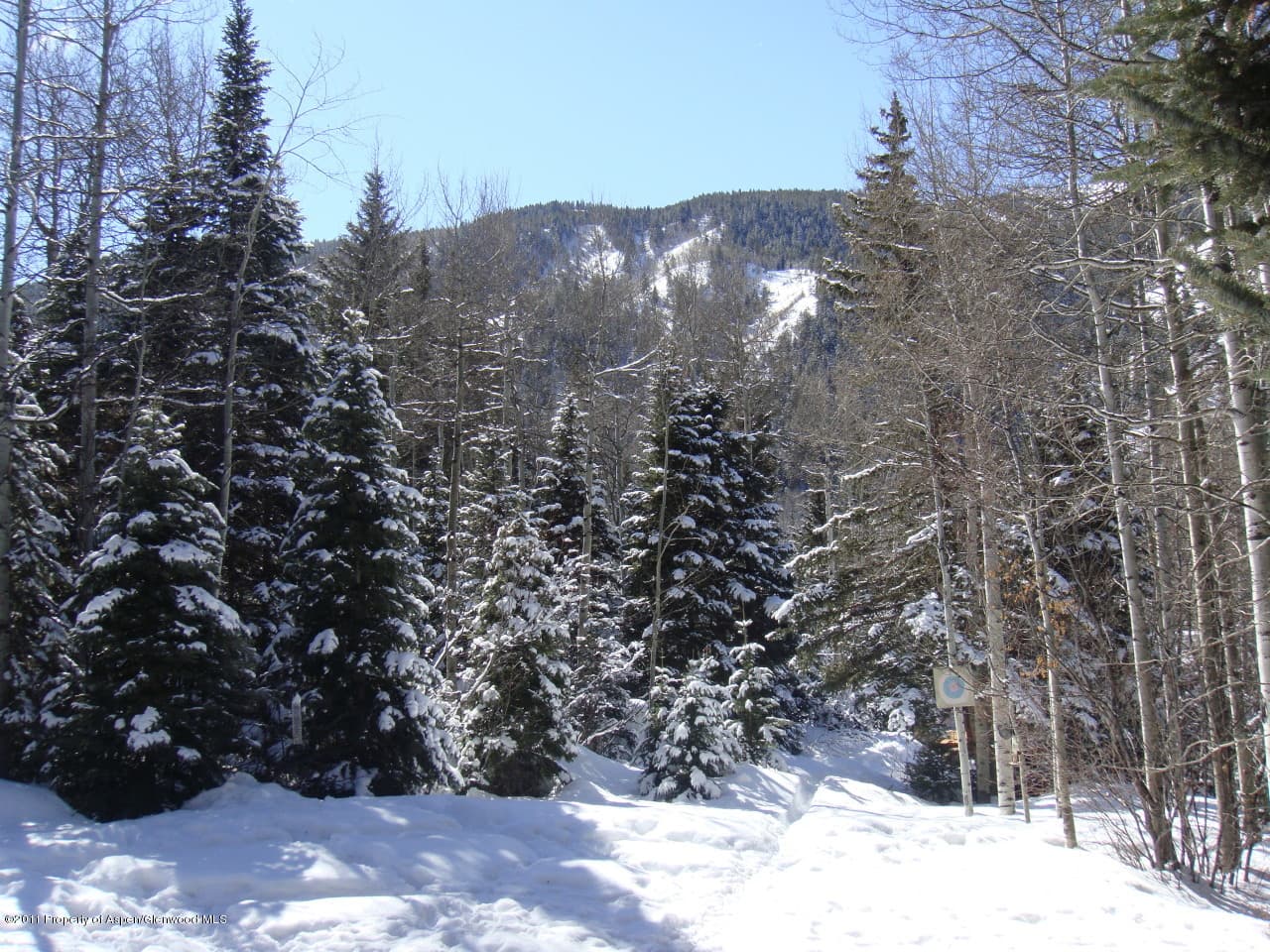 44971 Highway 82, Aspen, CO 81611 - Photo 6
