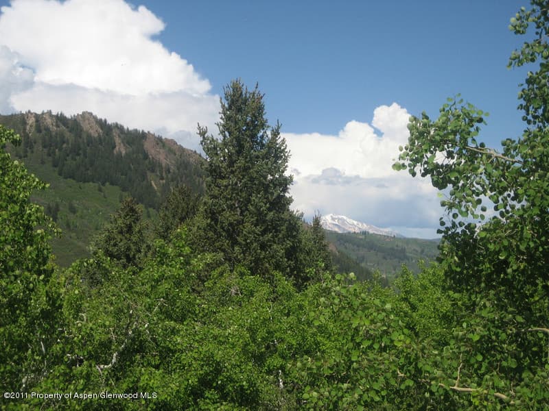 287 Mcskimming Road, Aspen, CO 81611 - Photo 4