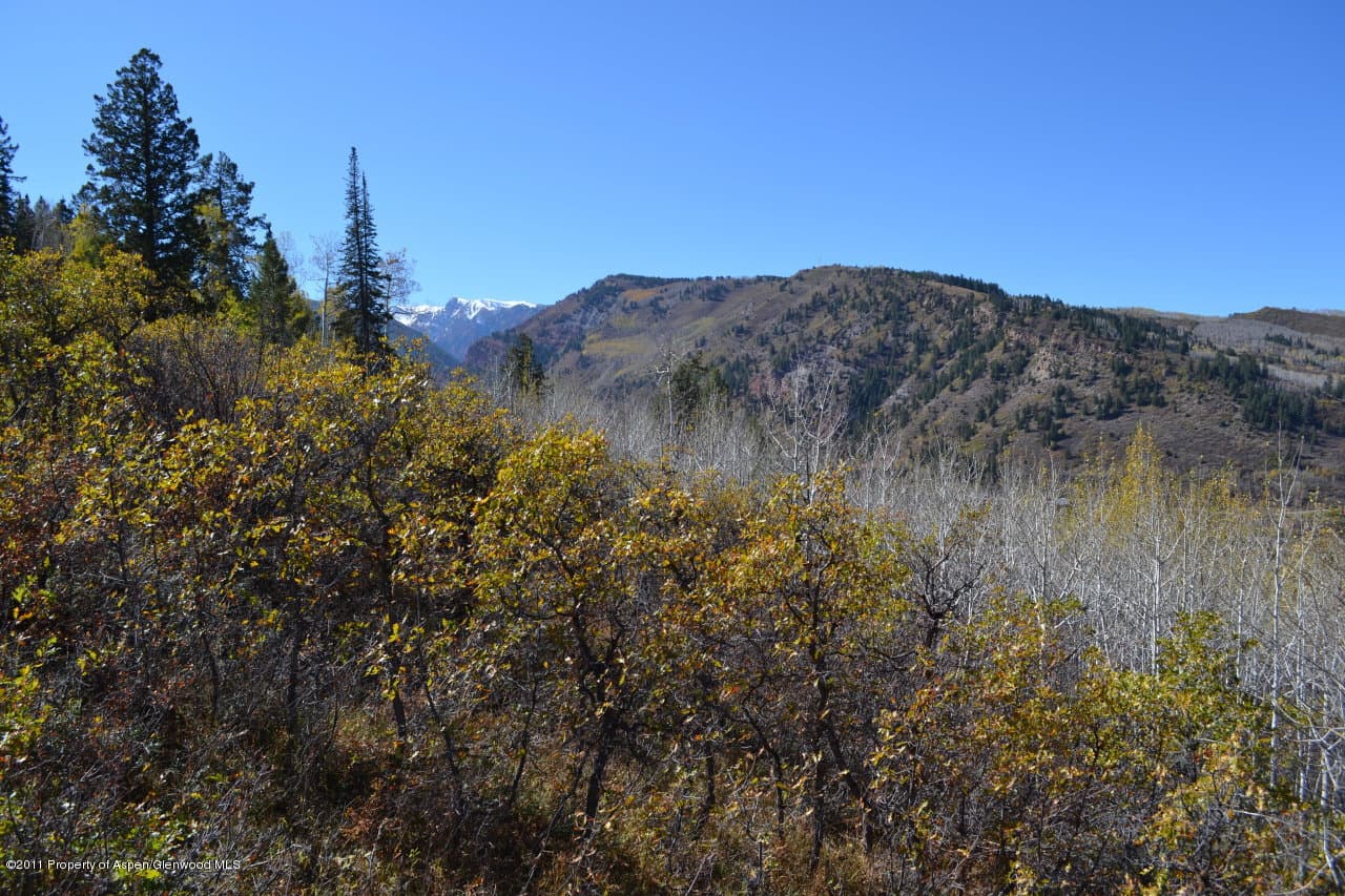 779 Moore Drive, Aspen, CO 81611 - Photo 15