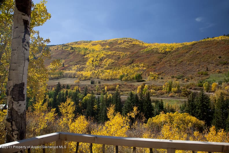 225 Hall Drive, Aspen, CO 81611 - Photo 6