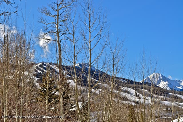Tbd Baby Doe Lane, Snowmass Village, CO 81615 - Photo 3