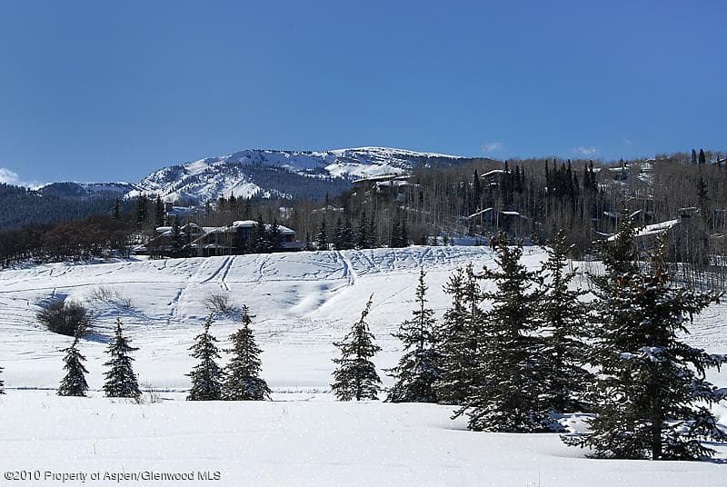 15 Turkey Trot Court (Lot 8), Snowmass Village, CO 81615 - Photo 3