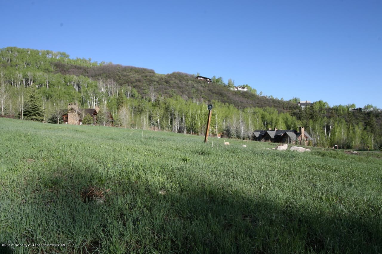 841 Serviceberry, Snowmass Village, CO 81615 - Photo 3