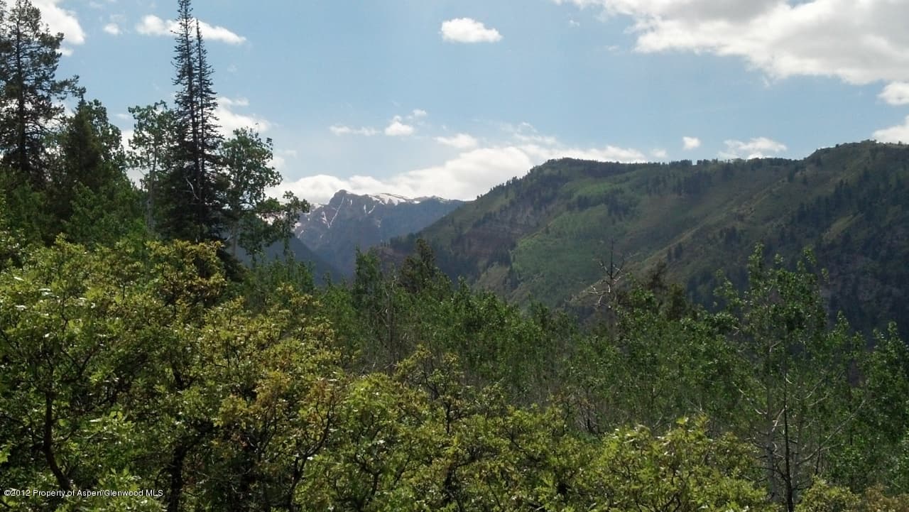 779 Moore Drive, Aspen, CO 81611 - Photo 4
