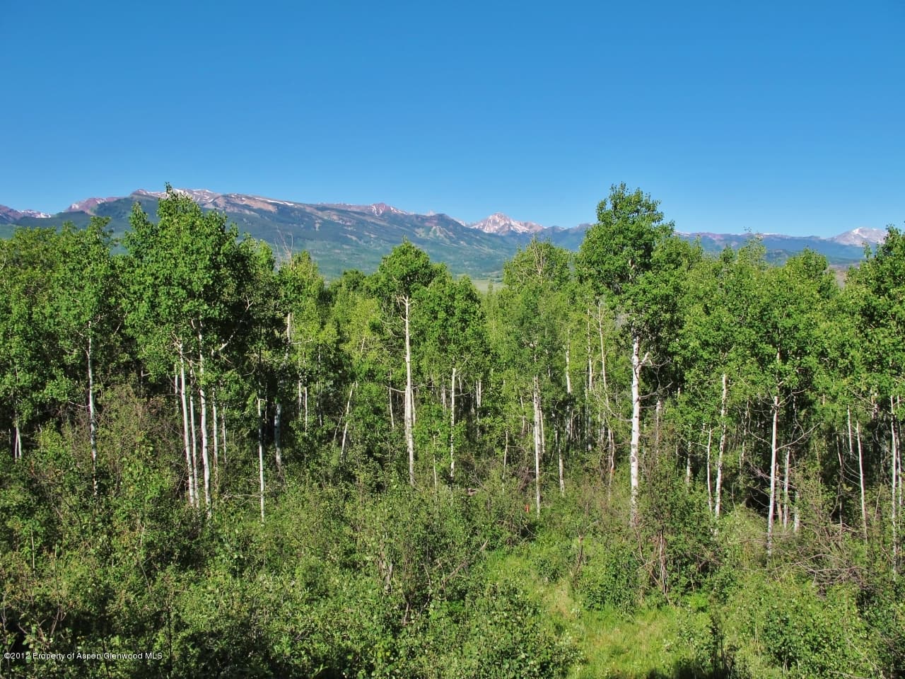 Lot 55 S Starwood Drive, Aspen, CO 81611 - Photo 3