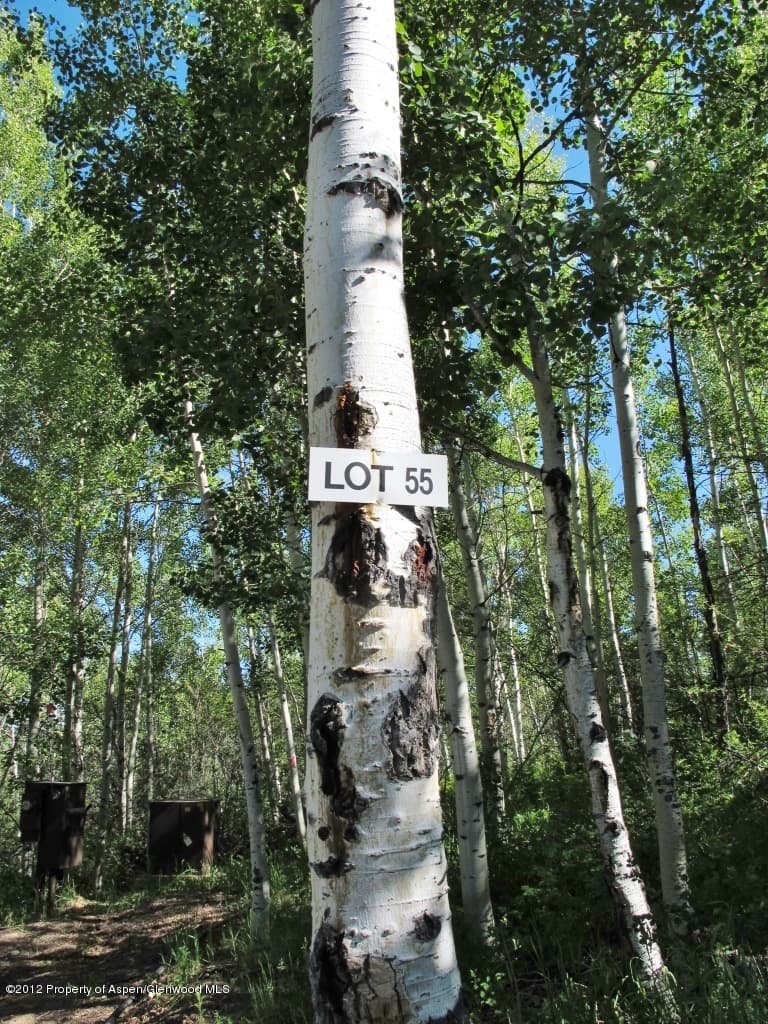Lot 55 S Starwood Drive, Aspen, CO 81611 - Photo 7