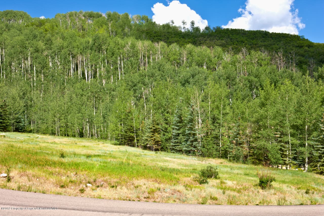151 Blue Spruce Lane, Snowmass Village, CO 81615 - Photo 4