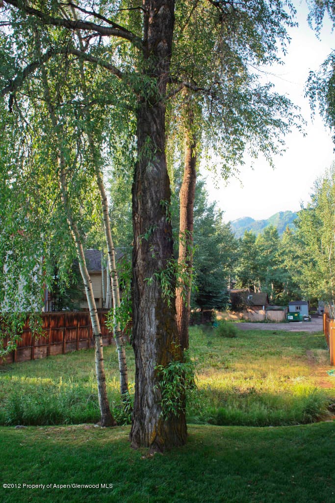 507 W Gillespie, Aspen, CO 81611 - Photo 2