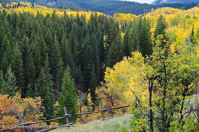 Tbd Two Creeks Drive, Snowmass Village, CO 81615 - Photo 18