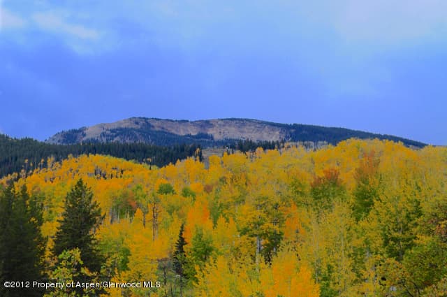 Tbd Two Creeks Drive, Snowmass Village, CO 81615 - Photo 15