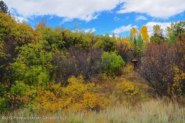 Tbd Two Creeks Drive, Snowmass Village, CO 81615 - Photo 17