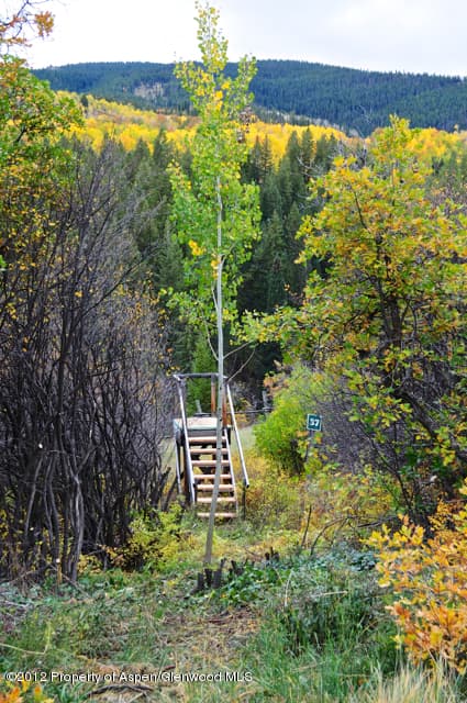 Tbd Two Creeks Drive, Snowmass Village, CO 81615 - Photo 19