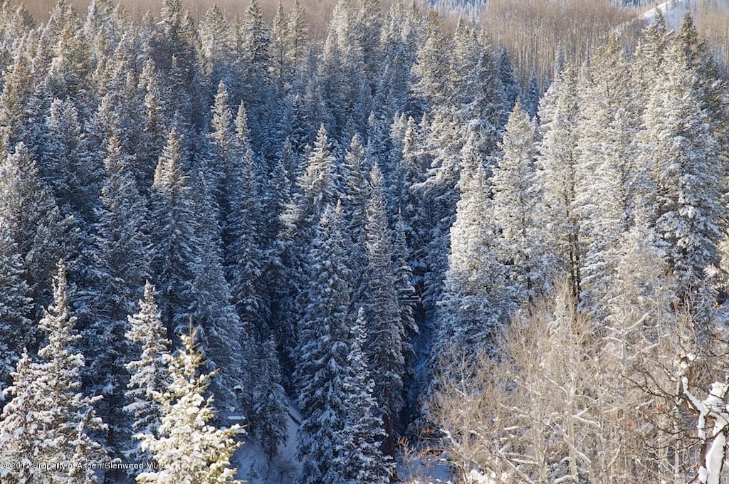 Tbd Two Creeks Drive, Snowmass Village, CO 81615 - Photo 6
