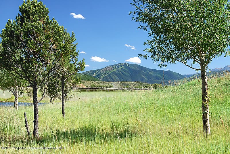845 Chaparral Drive, Woody Creek, CO 81656 - Photo 3