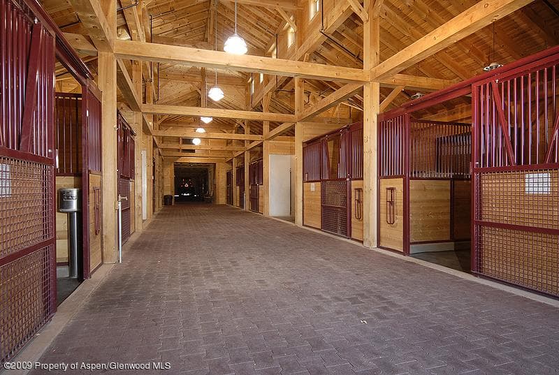 845 Chaparral Drive, Woody Creek, CO 81656 - Photo 25