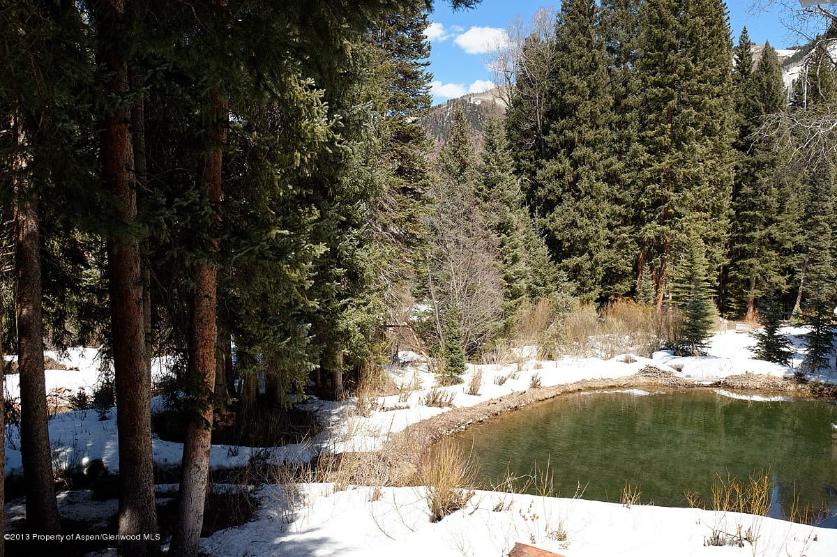 761 Conundrum Road, Aspen, CO 81611 - Photo 4