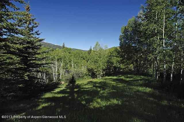 Tbd Pitkin Way Lot 1, Aspen, CO 81611 - Photo 5