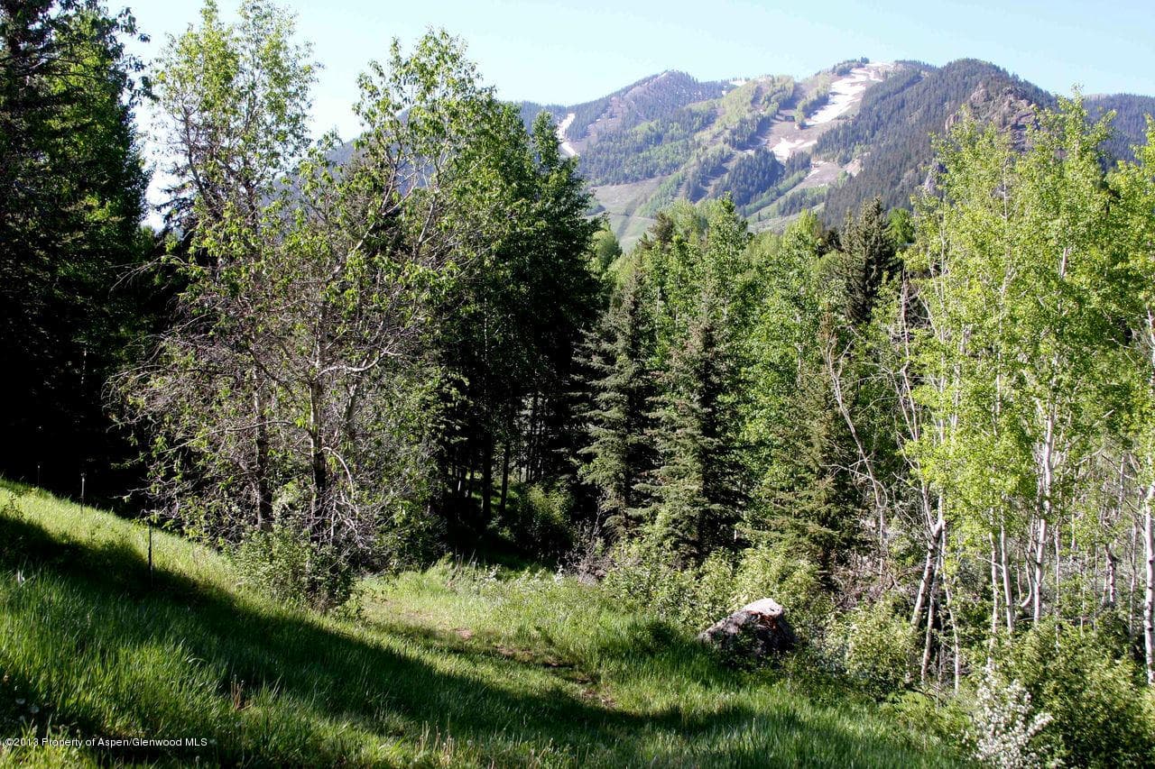 Tbd Pitkin Way Lot 1, Aspen, CO 81611 - Photo 7
