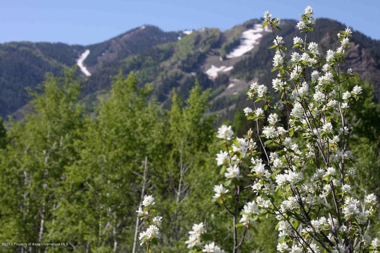 Tbd Pitkin Way Lot 1, Aspen, CO 81611 - Photo 10
