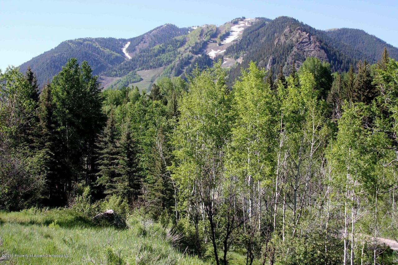 Tbd Pitkin Way Lot 1, Aspen, CO 81611 - Photo 11