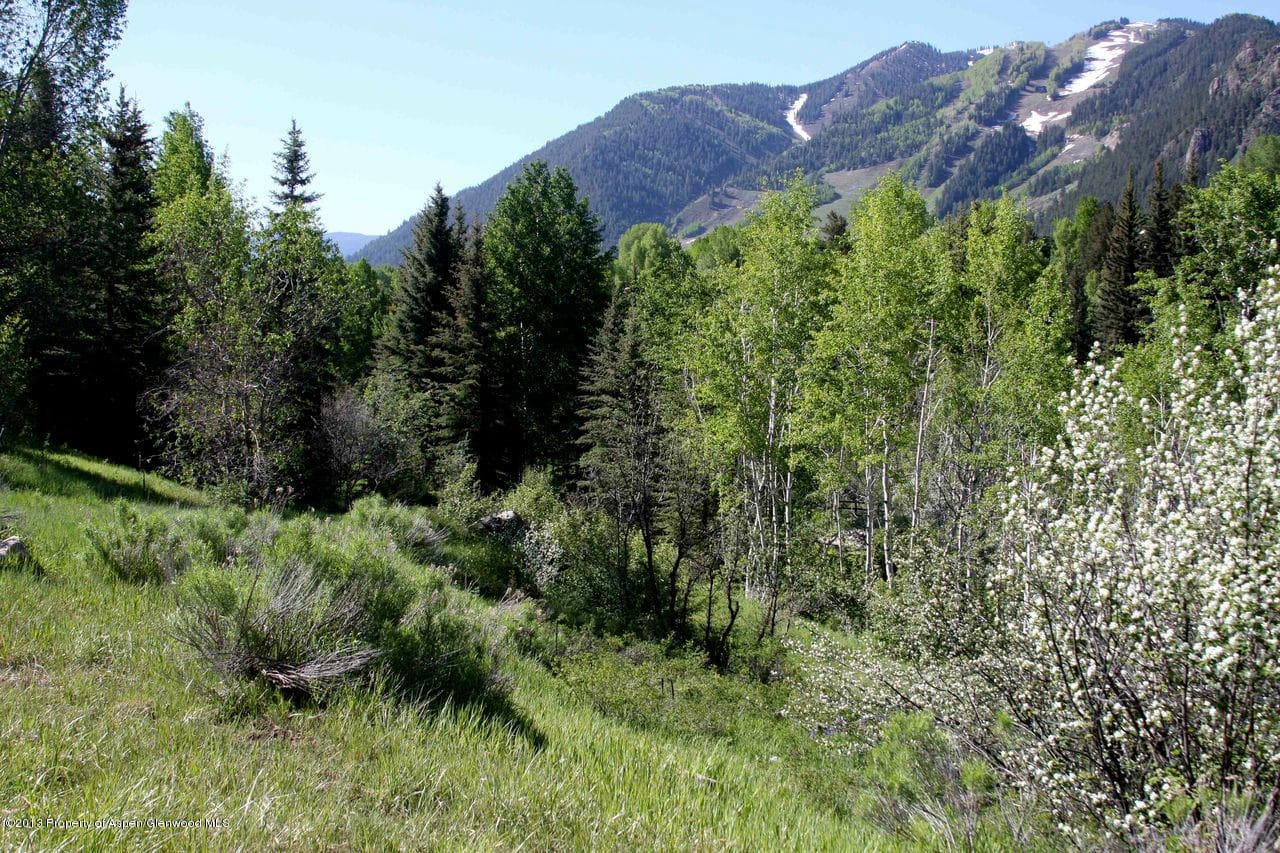 Tbd Pitkin Way Lot 1, Aspen, CO 81611 - Photo 14