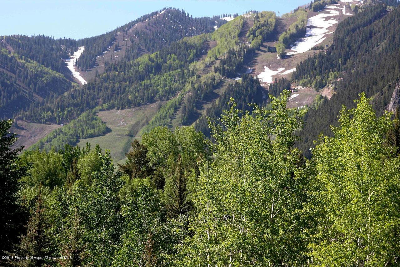 Tbd Pitkin Way Lot 1, Aspen, CO 81611 - Photo 17