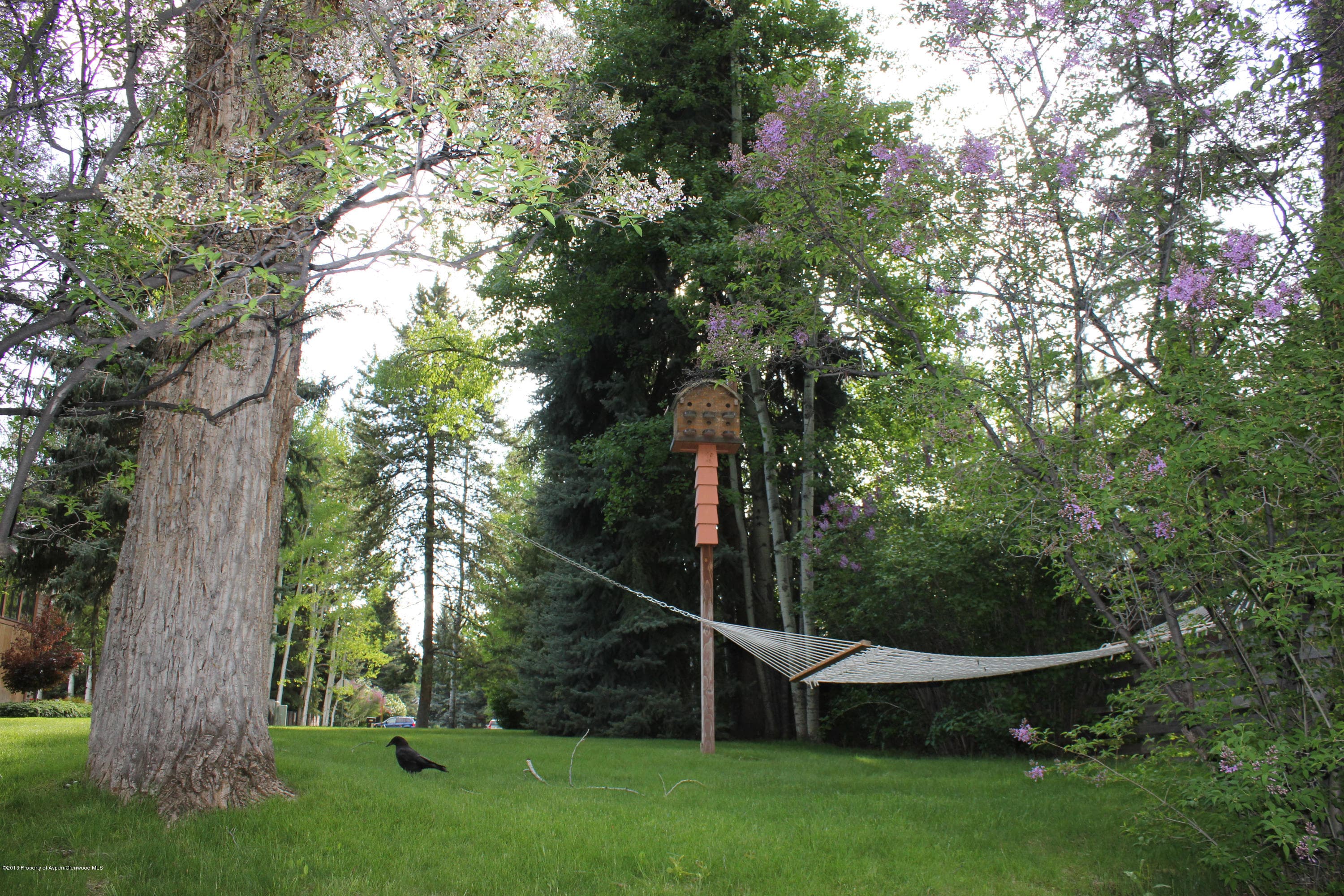 337 Lake Avenue, Aspen, CO 81611 - Photo 3