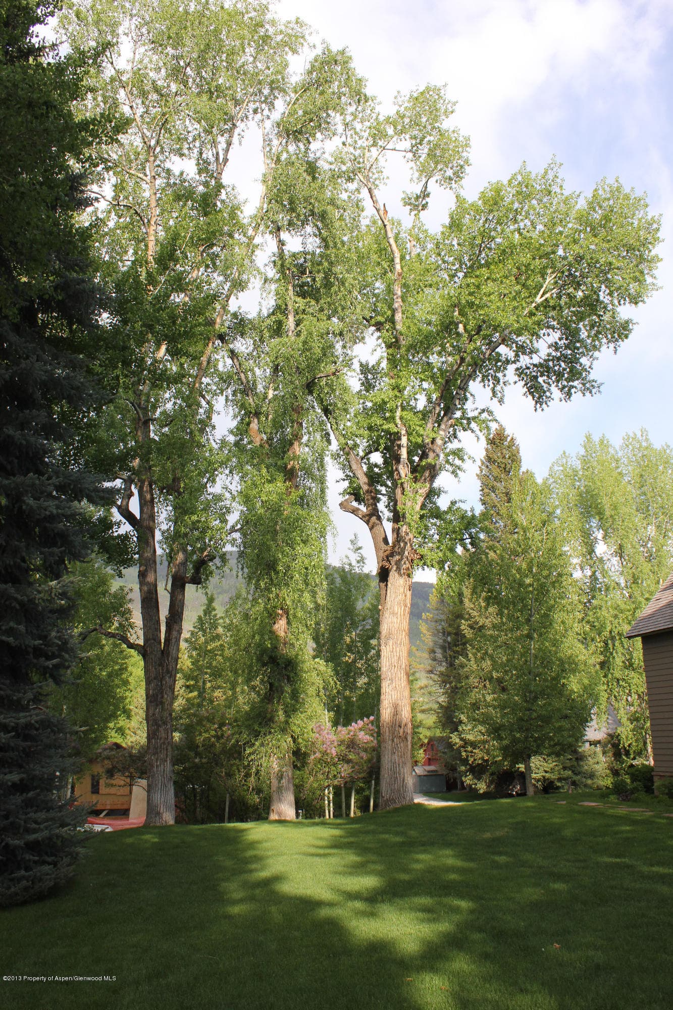 337 Lake Avenue, Aspen, CO 81611 - Photo 4