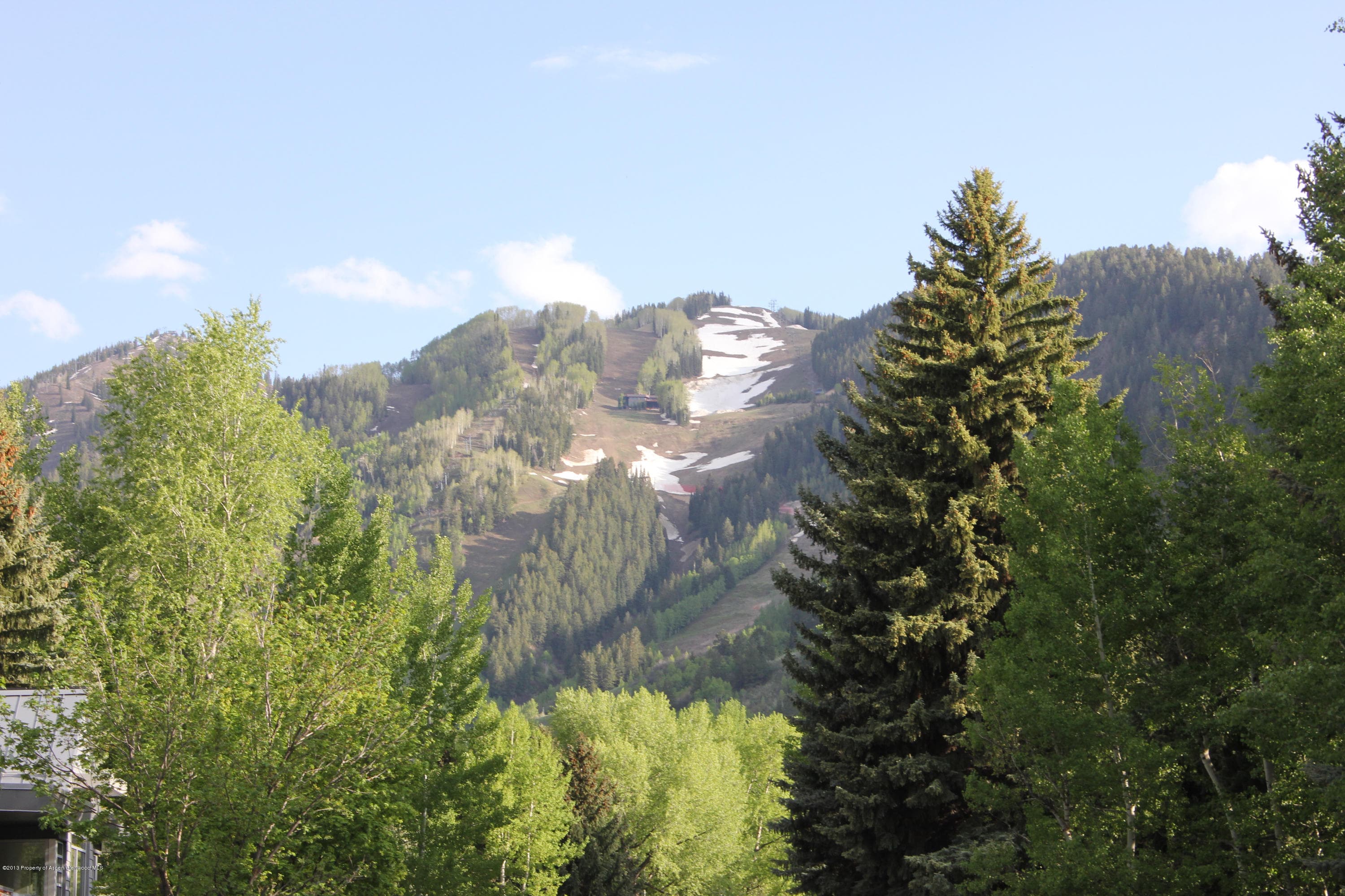 337 Lake Avenue, Aspen, CO 81611 - Photo 6