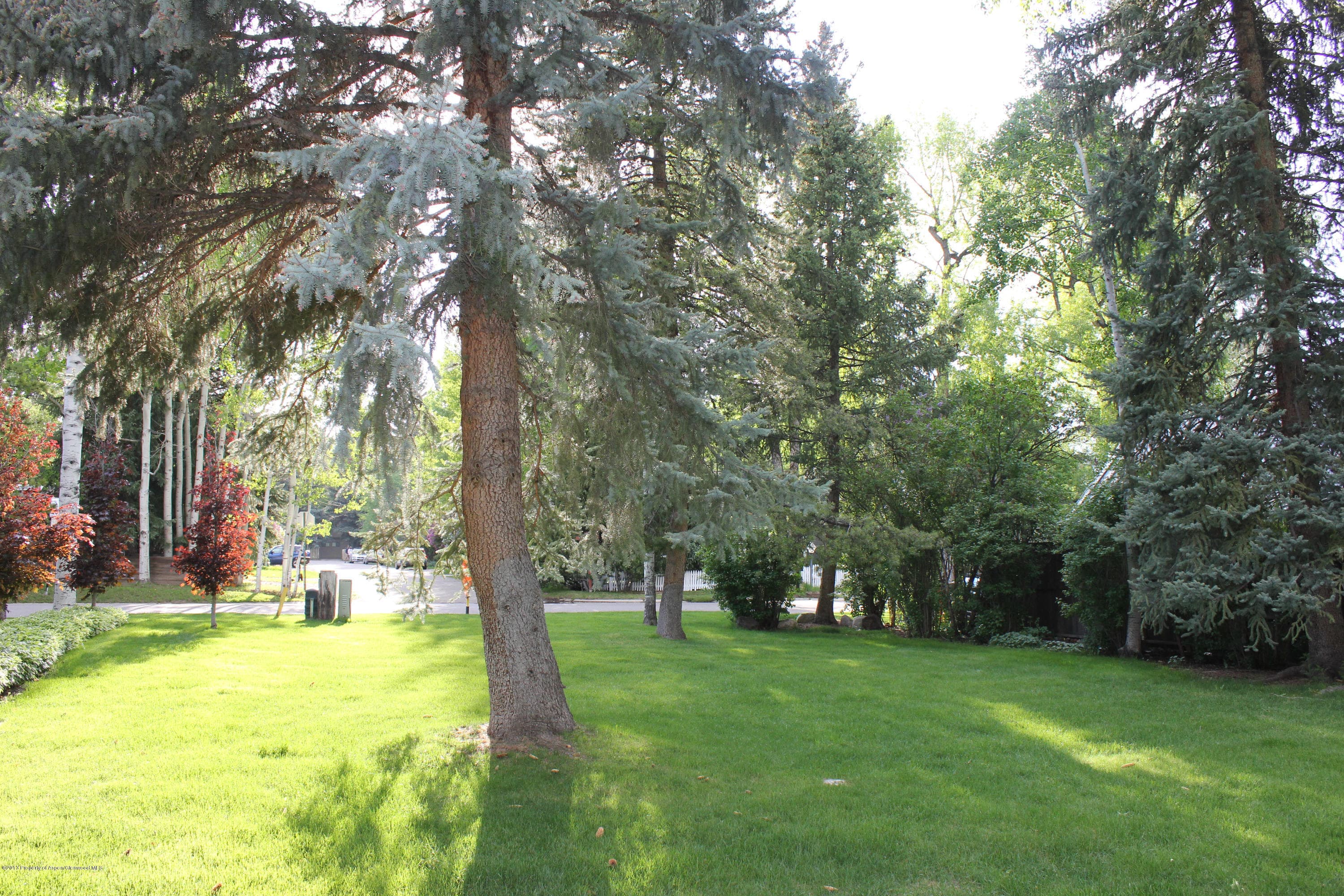 337 Lake Avenue, Aspen, CO 81611 - Photo 5